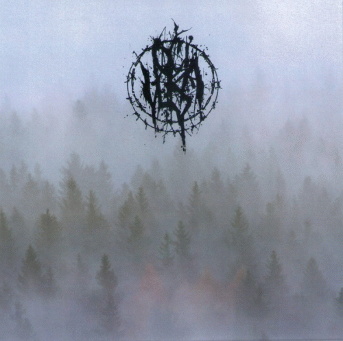 Oci Vlka : Oči Vlka